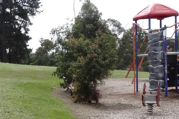 Cat Jump playground reserve