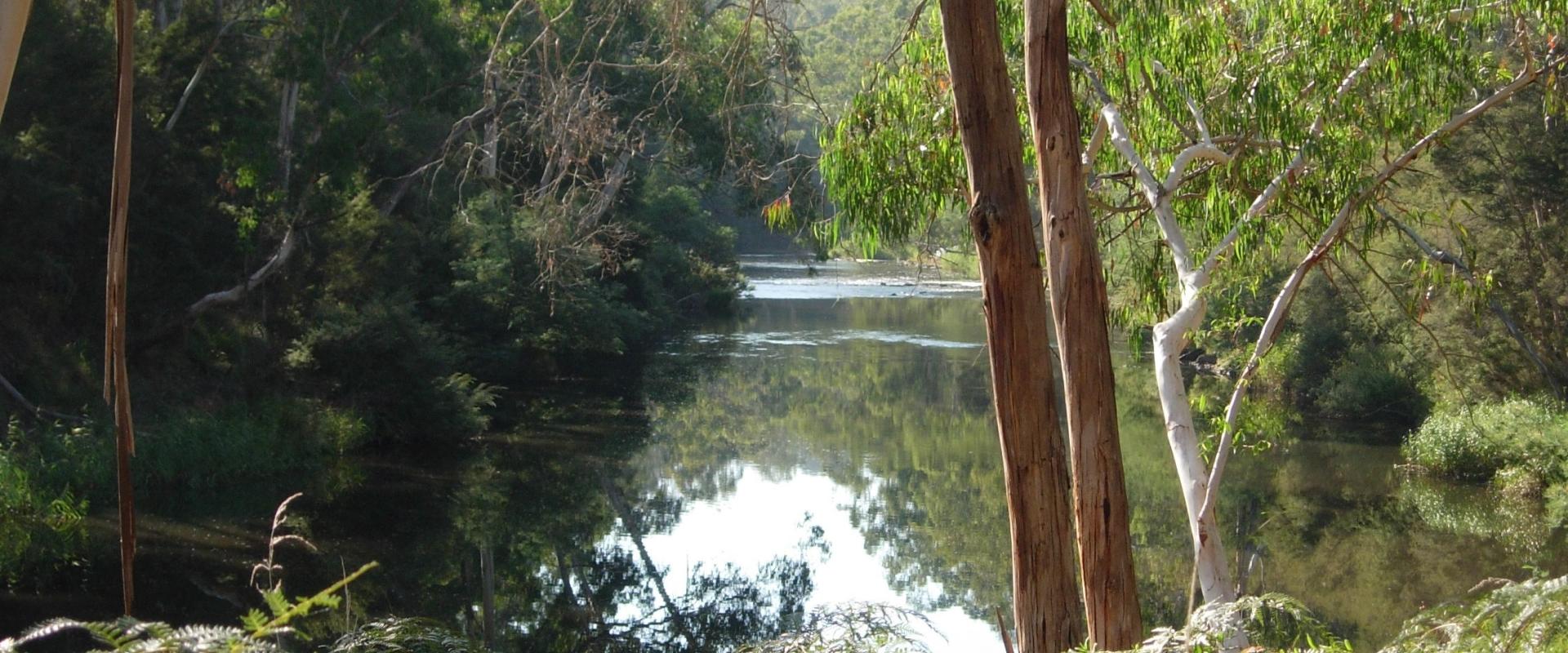 biodiversity yarra river 2006